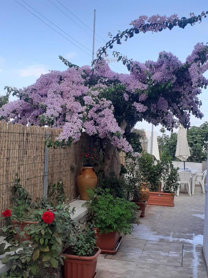 Casa Antonia *