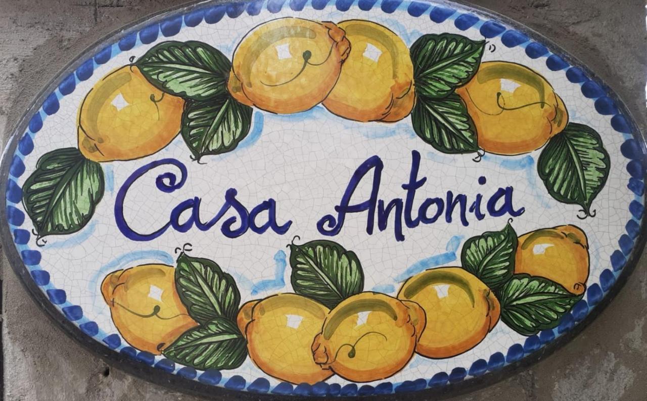 Casa Antonia *
