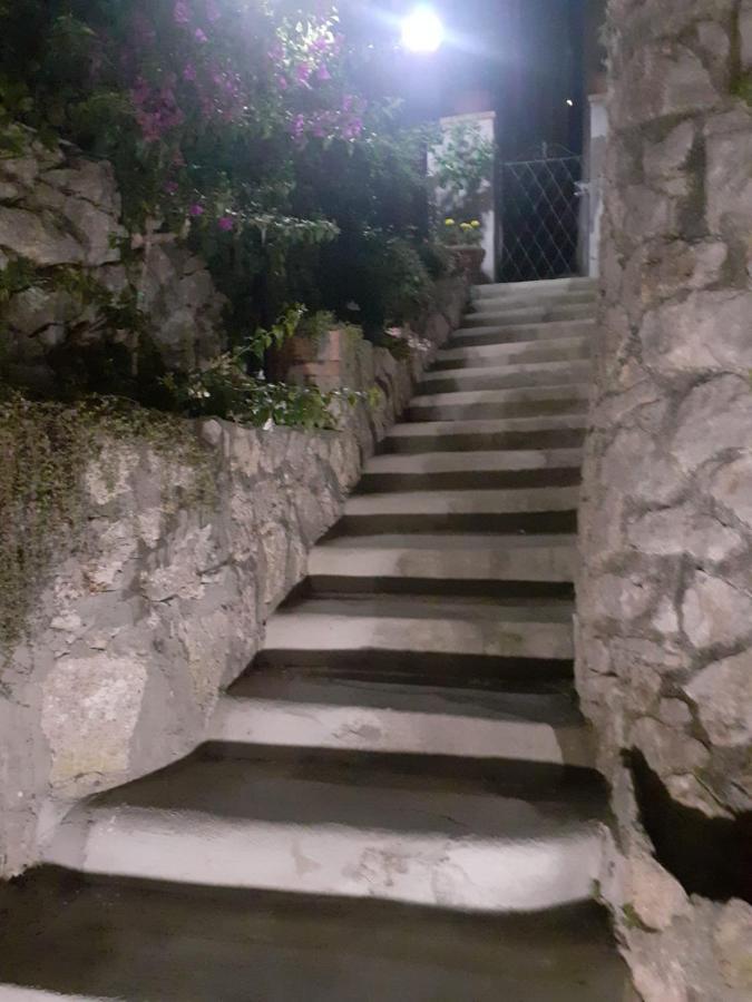 Apartment Casa Antonia *