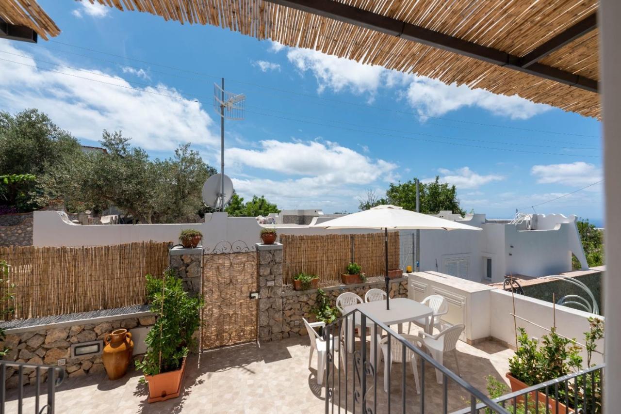 Apartment Casa Antonia